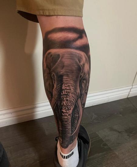 Ryan Cumberledge - Ryan Cumberledge Elephant